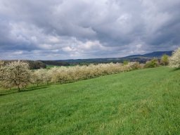 Wandern 2016